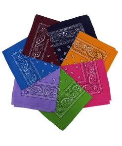 Not Specified Paisley Bandana Pinup