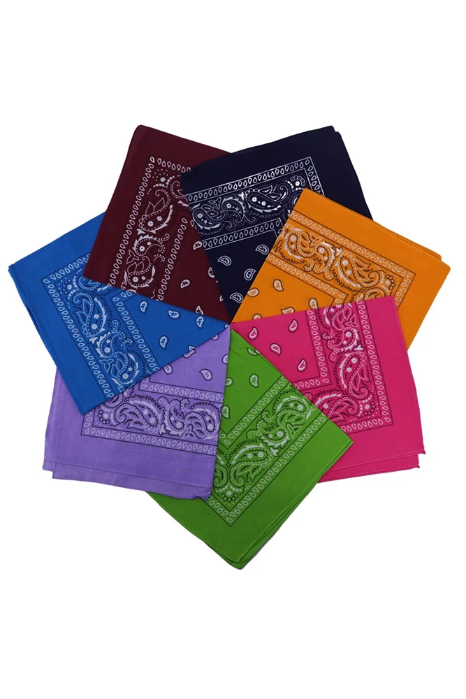 Not Specified Paisley Bandana Pinup 1 Not Specified Paisley Bandana Pinup