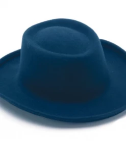 Apple Accessories Simply Stated Brimmed Hat